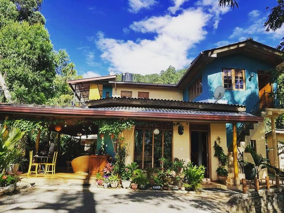 Waterfalls Homestay Ella Luaran gambar