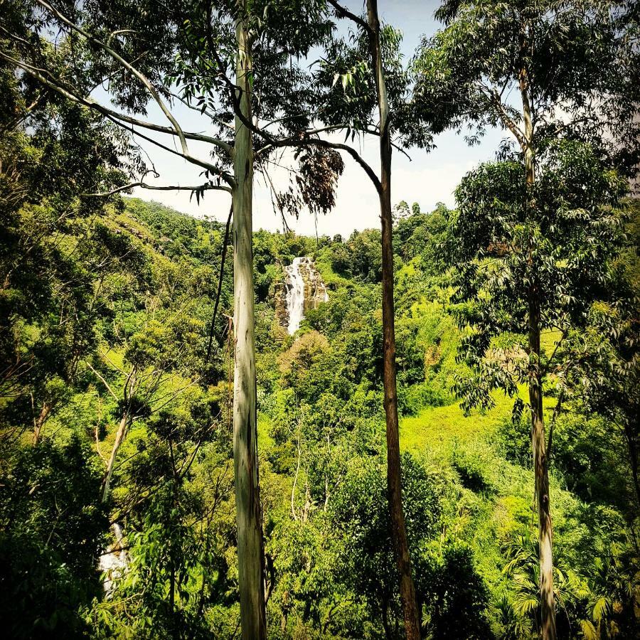 Waterfalls Homestay Ella Luaran gambar